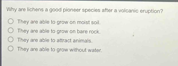 why are lichens a good pioneer species after a volcanic eruption? they are able to grow on moist soil. they are able to grow on bare rock. they are able to attract animals. they are able to grow without water.