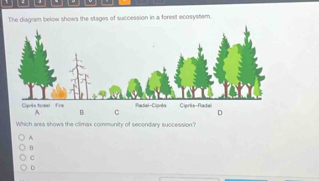the diagram below shows the stages of succession in a forest ecosystem. which area shows the climax community of secondary succession? a b c d