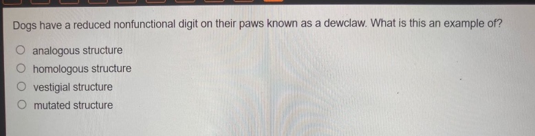 dogs have a reduced nonfunctional digit on their paws known as a dewclaw. what is this an example of?\no analogous structure\no homologous structure\no vestigial structure\no mutated structure