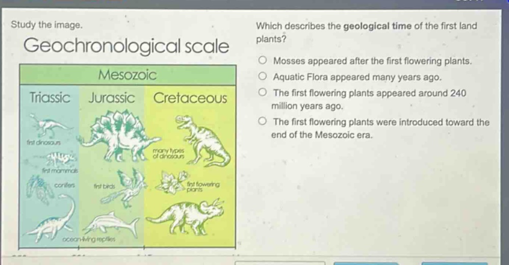 study the image. geochronological scale which describes the geological time of the first land plants? mosses appeared after the first flowering plants. aquatic flora appeared many years ago. the first flowering plants appeared around 240 million years ago. the first flowering plants were introduced toward the end of the mesozoic era.