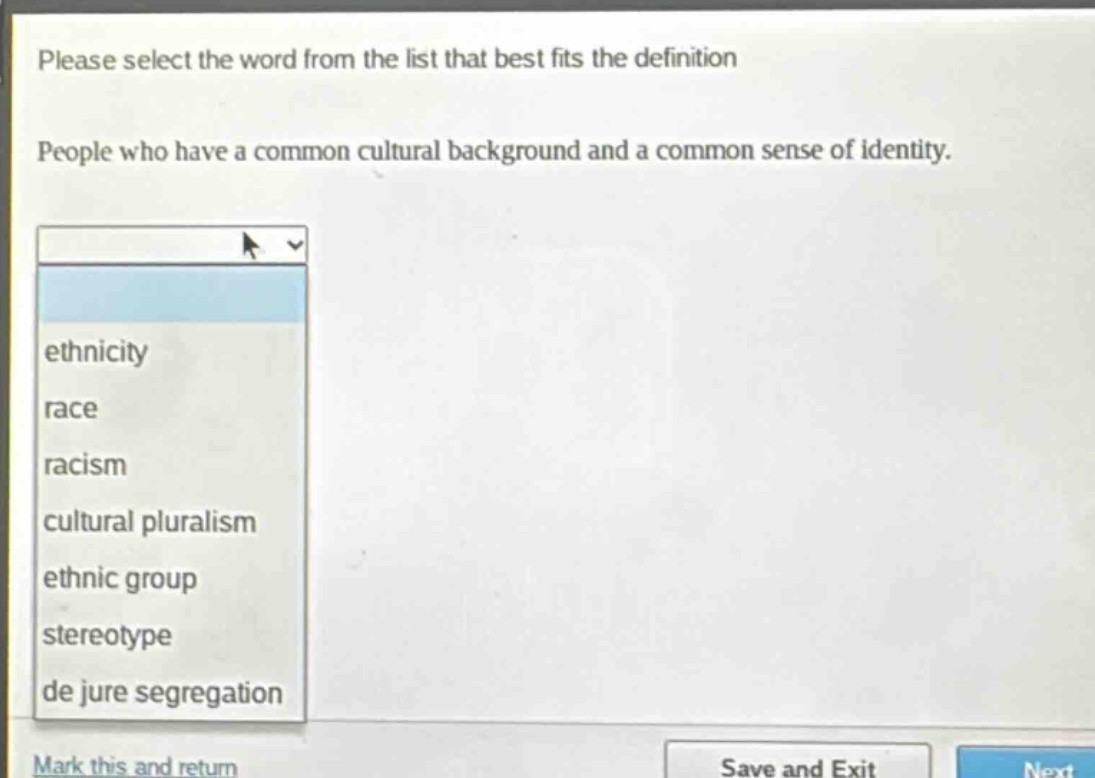 please select the word from the list that best fits the definition. people who have a common cultural background and a common sense of identity. ethnicity race racism cultural pluralism ethnic group stereotype de jure segregation