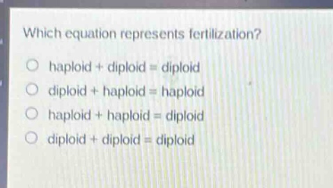 which equation represents fertilization?\no haploid + diploid = diploid\no diploid + haploid = haploid\no haploid + haploid = diploid\no diploid + diploid = diploid