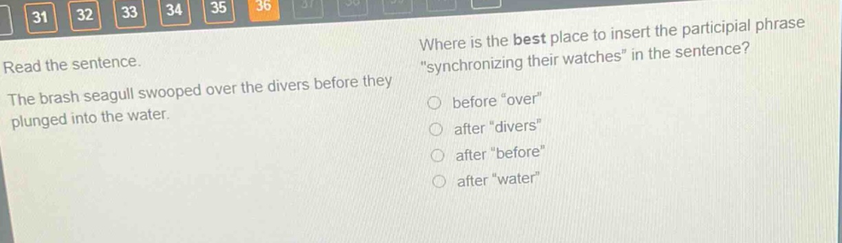 read the sentence. the brash seagull swooped over the divers before they plunged into the water. where is the best place to insert the participial phrase \synchronizing their watches\ in the sentence? before \over\ after \divers\ after \before\ after \water\