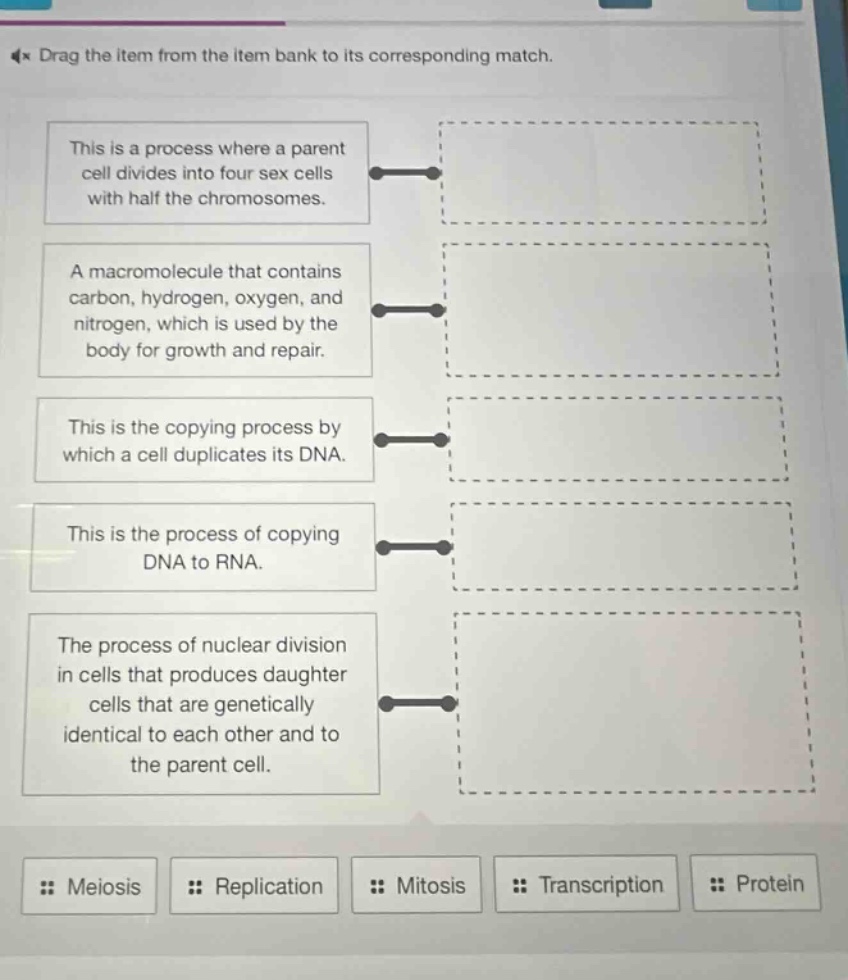 drag the item from the item bank to its corresponding match. this is a process where a parent cell divides into four sex cells with half the chromosomes. a macromolecule that contains carbon, hydrogen, oxygen, and nitrogen, which is used by the body for growth and repair. this is the copying process by which a cell duplicates its dna. this is the process of copying dna to rna. the process of nuclear division in cells that produces daughter cells that are genetically identical to each other and to the parent cell. meiosis replication mitosis transcription protein