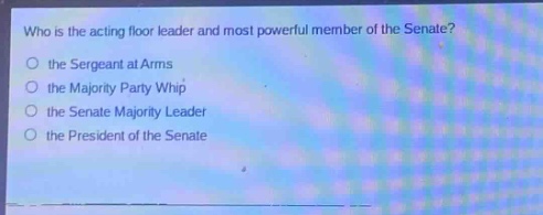 who is the acting floor leader and most powerful member of the senate?\n the sergeant at arms\n the majority party whip\n the senate majority leader\n the president of the senate