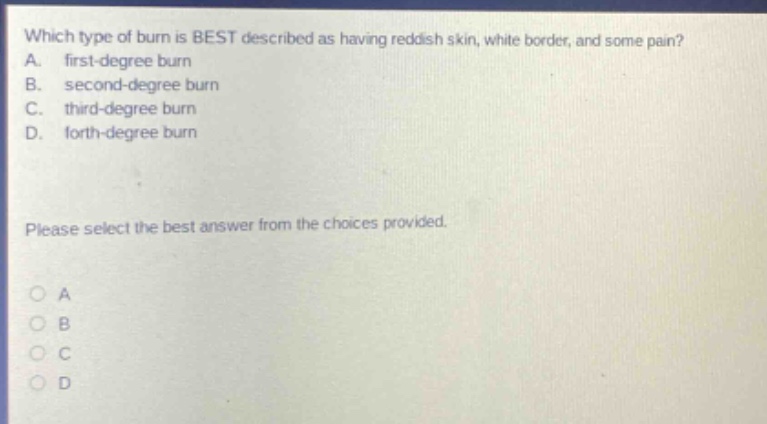 which type of burn is best described as having reddish skin, white border, and some pain? a. first - degree burn b. second - degree burn c. third - degree burn d. forth - degree burn please select the best answer from the choices provided.