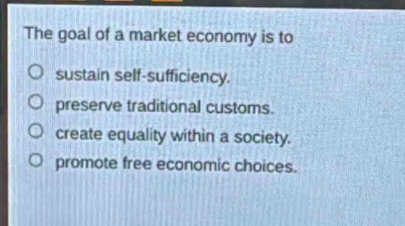 the goal of a market economy is to\nsustain self - sufficiency.\npreserve traditional customs.\ncreate equality within a society.\npromote free economic choices.