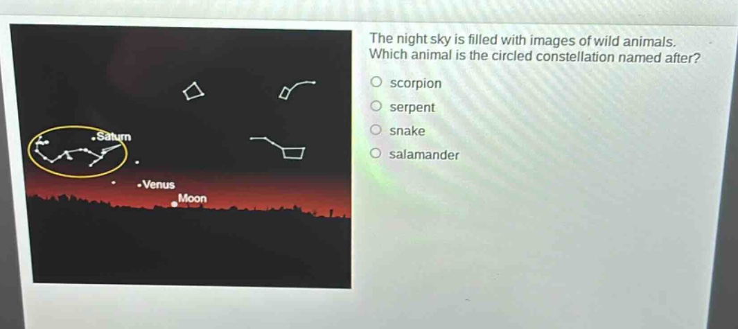 the night sky is filled with images of wild animals. which animal is the circled constellation named after? scorpion serpent snake salamander