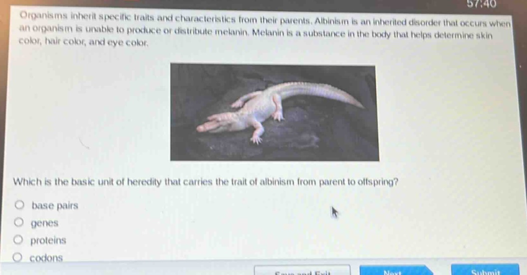 organisms inherit specific traits and characteristics from their parents. albinism is an inherited disorder that occurs when an organism is unable to produce or distribute melanin. melanin is a substance in the body that helps determine skin color, hair color, and eye color. which is the basic unit of heredity that carries the trait of albinism from parent to offspring? base pairs genes proteins codons
