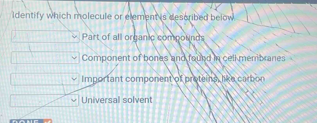 identify which molecule or element is described below. part of all organic compounds component of bones and found in cell membranes important component of proteins, like carbon universal solvent