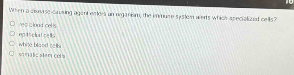when a disease - causing agent enters an organism, the immune system alerts which specialized cells?\nred blood cells\n epithelial cells\n white blood cells\n somatic stem cells