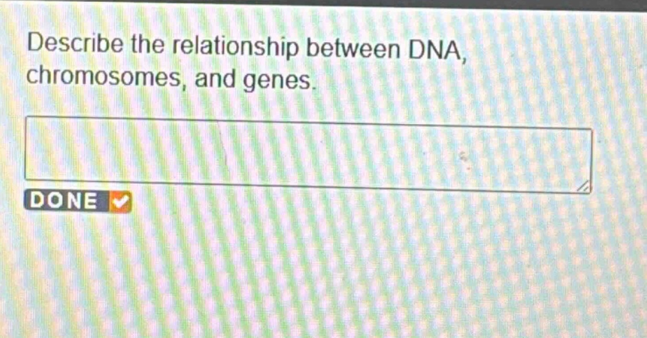 describe the relationship between dna, chromosomes, and genes.