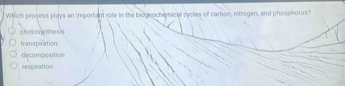 which process plays an important role in the biogeochemical cycles of carbon, nitrogen, and phosphorus?\nphotosynthesis\ntranspiration\ndecomposition\nrespiration