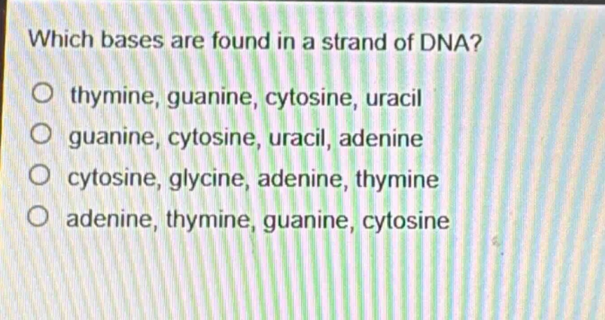 which bases are found in a strand of dna?\no thymine, guanine, cytosine, uracil\no guanine, cytosine, uracil, adenine\no cytosine, glycine, adenine, thymine\no adenine, thymine, guanine, cytosine