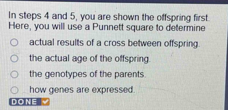 in steps 4 and 5, you are shown the offspring first. here, you will use a punnett square to determine actual results of a cross between offspring. the actual age of the offspring. the genotypes of the parents. how genes are expressed.