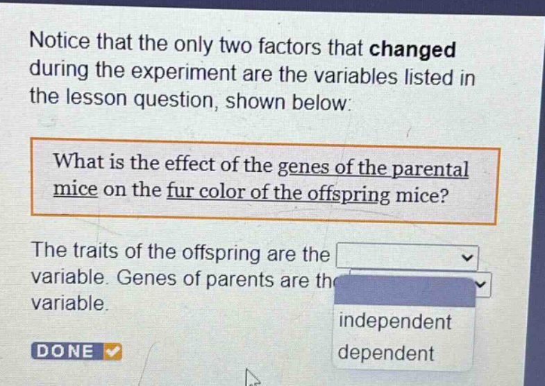 notice that the only two factors that changed during the experiment are the variables listed in the lesson question, shown below: what is the effect of the genes of the parental mice on the fur color of the offspring mice? the traits of the offspring are the variable. genes of parents are the variable. independent dependent done