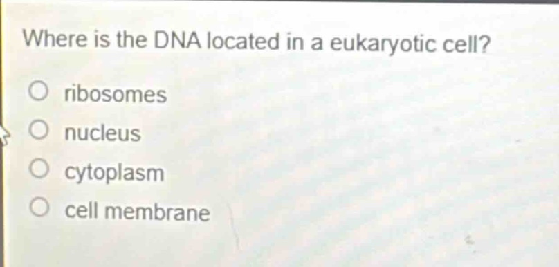 where is the dna located in a eukaryotic cell?\nribosomes\nnucleus\ncytoplasm\ncell membrane