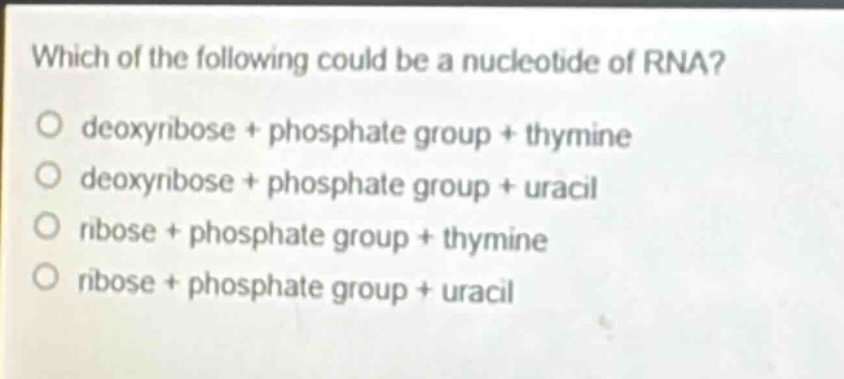 which of the following could be a nucleotide of rna?\ndeoxyribose + phosphate group + thymine\ndeoxyribose + phosphate group + uracil\nribose + phosphate group + thymine\nribose + phosphate group + uracil