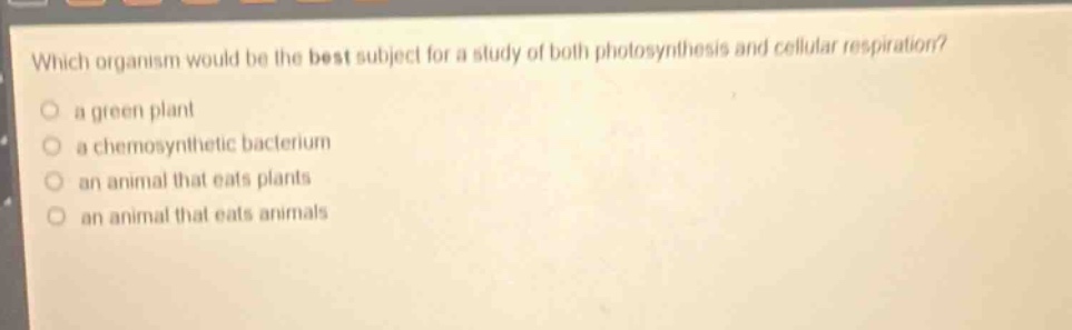 which organism would be the best subject for a study of both photosynthesis and cellular respiration?\n a green plant\n a chemosynthetic bacterium\n an animal that eats plants\n an animal that eats animals
