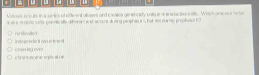 meiosis occurs in a series of different phases and creates genetically unique reproductive cells. which process helps make meiotic cells genetically different and occurs during prophase i, but not during prophase ii?\no fertilization\no independent assortment\no crossing over\no chromosome replication