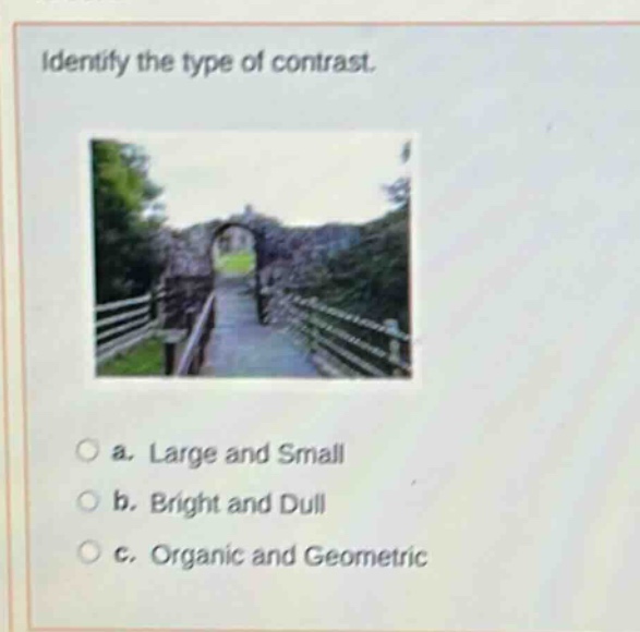 identify the type of contrast. a. large and small b. bright and dull c. organic and geometric