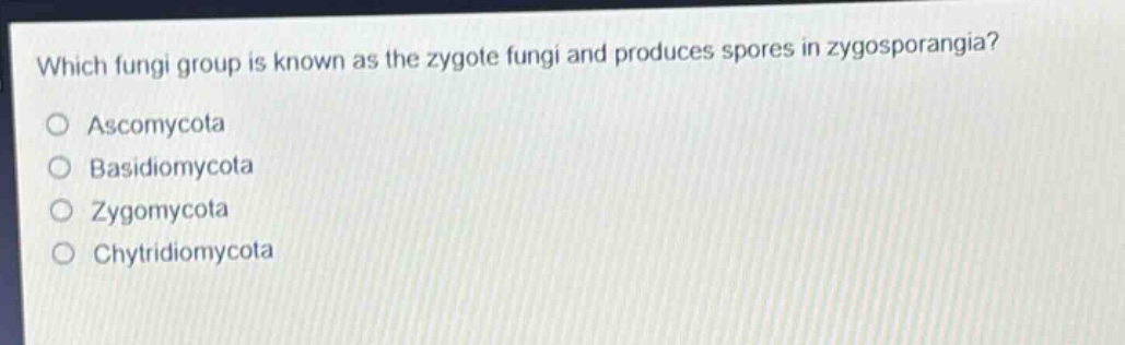 which fungi group is known as the zygote fungi and produces spores in zygosporangia?\nascomycota\nbasidiomycota\nzygomycota\nchytridiomycota