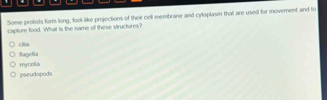 some protists form long, foot - like projections of their cell membrane and cytoplasm that are used for movement and to capture food. what is the name of these structures?\ncilia\nflagella\nmycelia\npseudopods