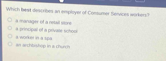 which best describes an employer of consumer services workers? a manager of a retail store a principal of a private school a worker in a spa an archbishop in a church