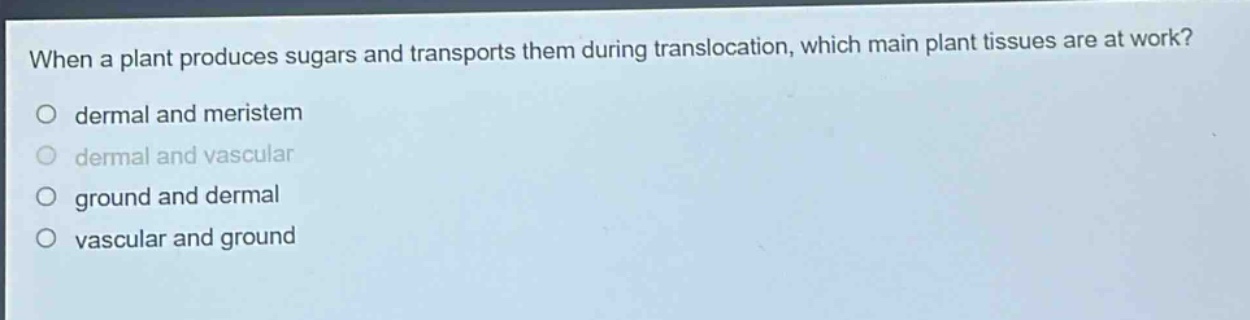 when a plant produces sugars and transports them during translocation, which main plant tissues are at work?\no dermal and meristem\no dermal and vascular\no ground and dermal\no vascular and ground