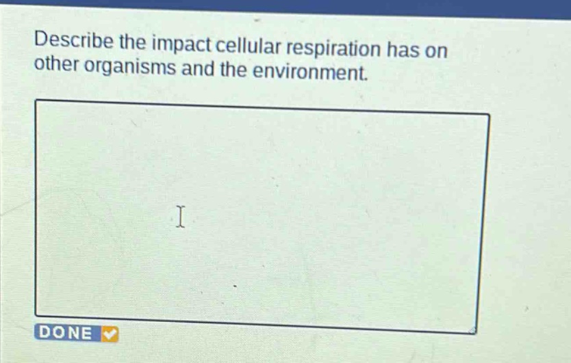 describe the impact cellular respiration has on other organisms and the environment.