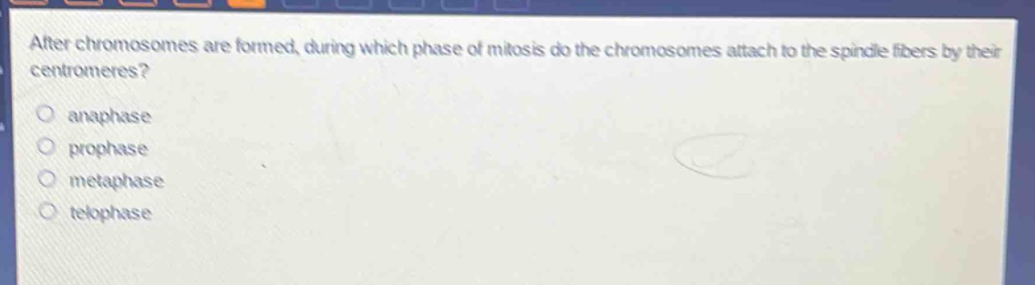 after chromosomes are formed, during which phase of mitosis do the chromosomes attach to the spindle fibers by their centromeres?\no anaphase\no prophase\no metaphase\no telophase