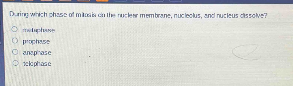 during which phase of mitosis do the nuclear membrane, nucleolus, and nucleus dissolve?\nmetaphase\nprophase\nanaphase\ntelophase
