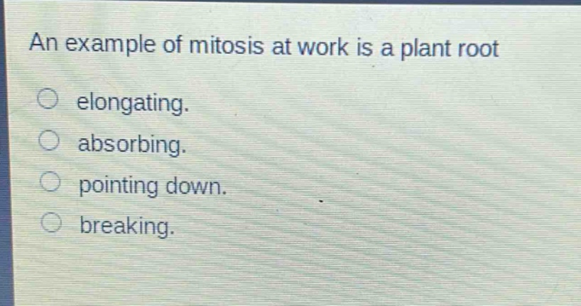 an example of mitosis at work is a plant root elongating. absorbing. pointing down. breaking.
