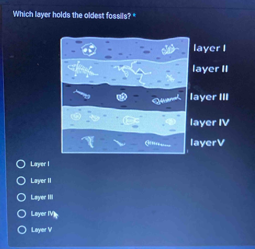 which layer holds the oldest fossils? * layer i layer ii layer iii layer iv layerv layer i layer ii layer iii layer iv layer v