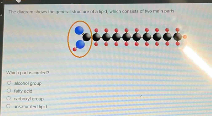 the diagram shows the general structure of a lipid, which consists of two main parts. which part is circled? alcohol group fatty acid carboxyl group unsaturated lipid