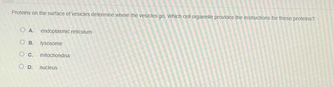 proteins on the surface of vesicles determine where the vesicles go. which cell organelle provides the instructions for these proteins?\na. endoplasmic reticulum\nb. lysosome\nc. mitochondria\nd. nucleus