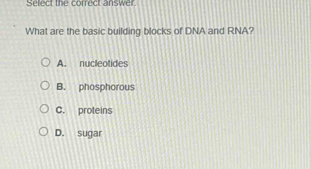 select the correct answer. what are the basic building blocks of dna and rna? a. nucleotides b. phosphorous c. proteins d. sugar