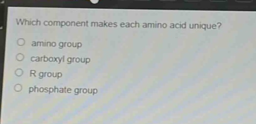 which component makes each amino acid unique? amino group carboxyl group r group phosphate group