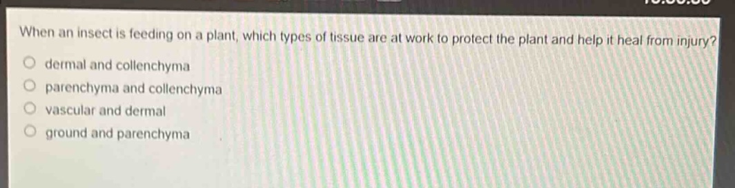 when an insect is feeding on a plant, which types of tissue are at work to protect the plant and help it heal from injury?\no dermal and collenchyma\no parenchyma and collenchyma\no vascular and dermal\no ground and parenchyma