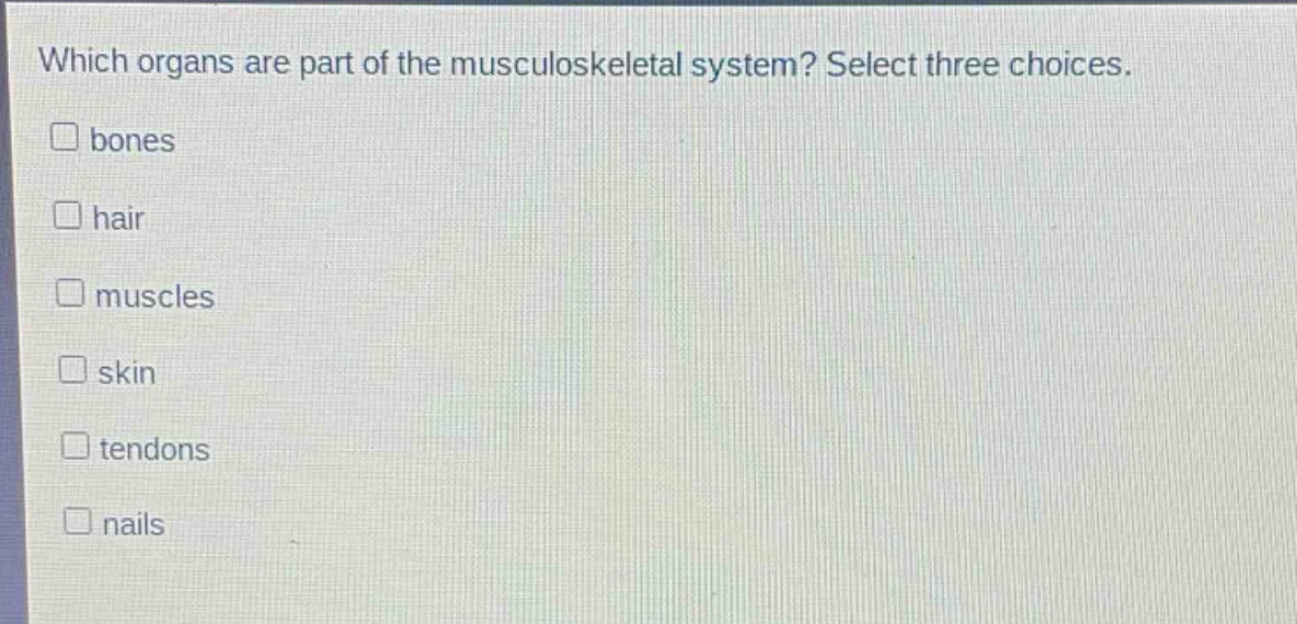 which organs are part of the musculoskeletal system? select three choices. bones hair muscles skin tendons nails