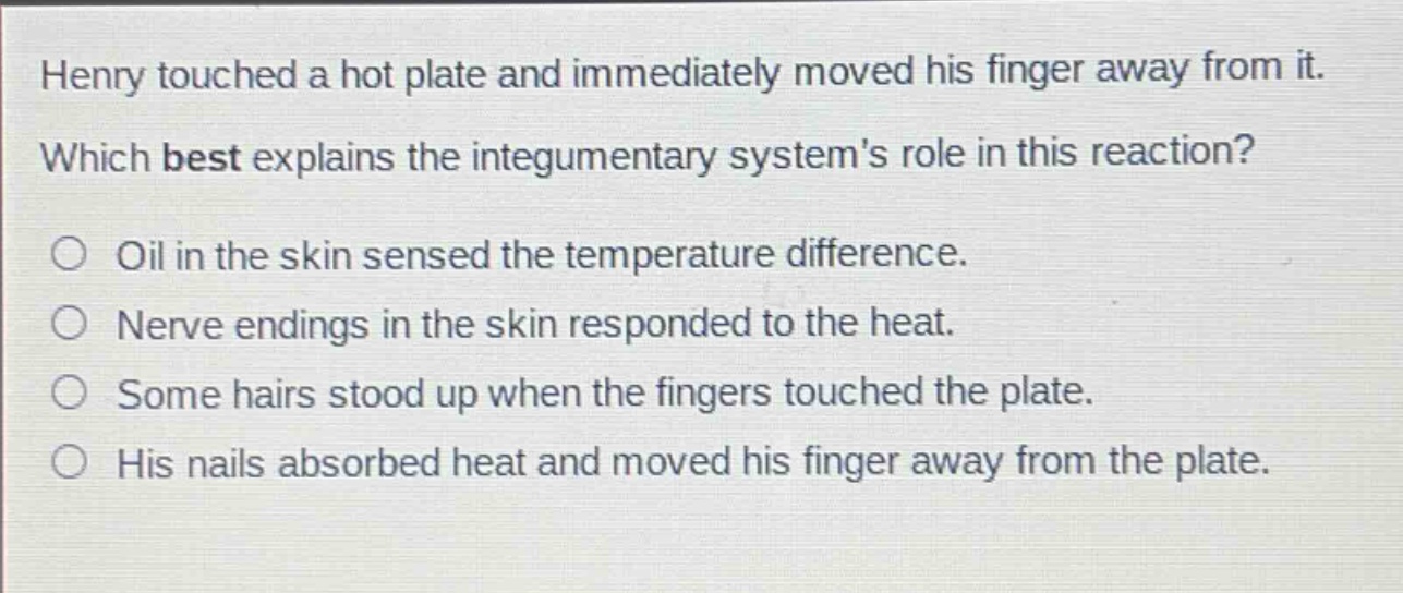 henry touched a hot plate and immediately moved his finger away from it. which best explains the integumentary systems role in this reaction? oil in the skin sensed the temperature difference. nerve endings in the skin responded to the heat. some hairs stood up when the fingers touched the plate. his nails absorbed heat and moved his finger away from the plate.