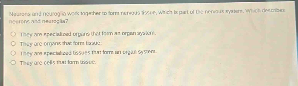 neurons and neuroglia work together to form nervous tissue, which is part of the nervous system. which describes neurons and neuroglia? they are specialized organs that form an organ system. they are organs that form tissue. they are specialized tissues that form an organ system. they are cells that form tissue.