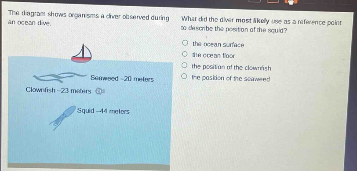 the diagram shows organisms a diver observed during an ocean dive. what did the diver most likely use as a reference point to describe the position of the squid? the ocean surface the ocean floor the position of the clownfish the position of the seaweed seaweed -20 meters clownfish -23 meters squid -44 meters