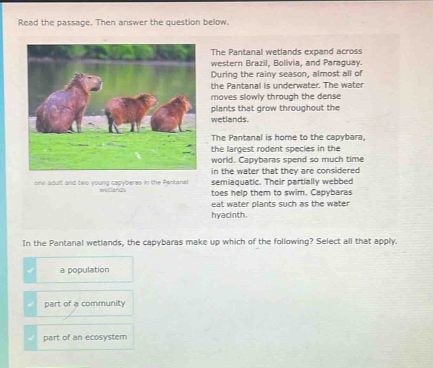 read the passage. then answer the question below. the pantanal wetlands expand across western brazil, bolivia, and paraguay. during the rainy season, almost all of the pantanal is underwater. the water moves slowly through the dense plants that grow throughout the wetlands. the pantanal is home to the capybara, the largest rodent species in the world. capybaras spend so much time in the water that they are considered semiaquatic. their partially webbed toes help them to swim. capybaras eat water plants such as the water hyacinth. in the pantanal wetlands, the capybaras make up which of the following? select all that apply. a population part of a community part of an ecosystem