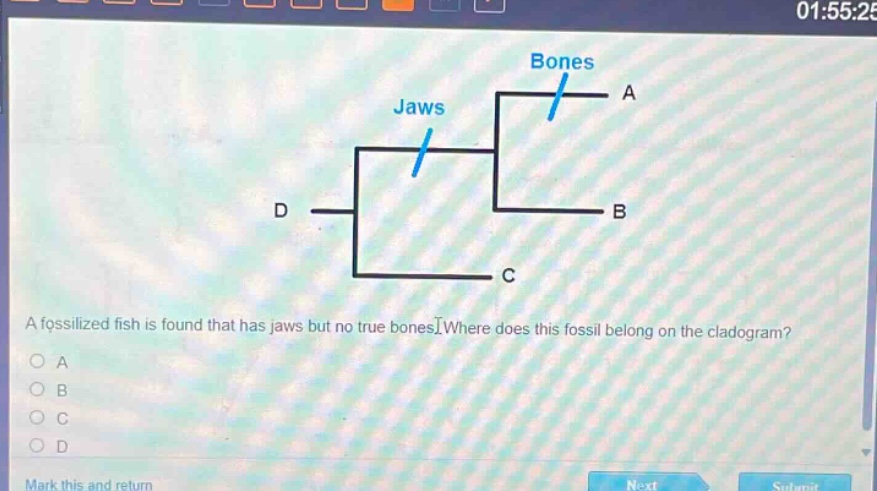 a fossilized fish is found that has jaws but no true bones. where does this fossil belong on the cladogram?\na\nb\nc\nd