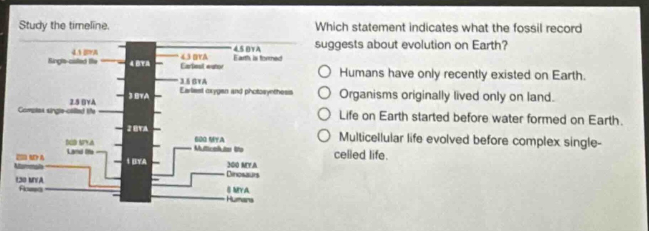 study the timeline. which statement indicates what the fossil record suggests about evolution on earth? humans have only recently existed on earth. organisms originally lived only on land. life on earth started before water formed on earth. multicellular life evolved before complex single - celled life.