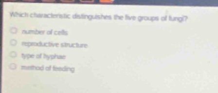 which characteristic distinguishes the five groups of fungi?\nnumber of cells\nreproductive structure\ntype of hyphae\nmethod of feeding