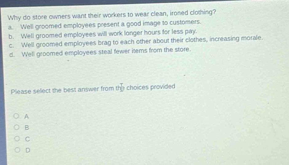 why do store owners want their workers to wear clean, ironed clothing? a. well groomed employees present a good image to customers. b. well groomed employees will work longer hours for less pay. c. well groomed employees brag to each other about their clothes, increasing morale. d. well groomed employees steal fewer items from the store. please select the best answer from the choices provided a b c d