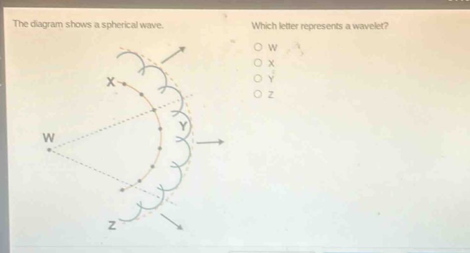 the diagram shows a spherical wave. which letter represents a wavelet? o w o x o y o z