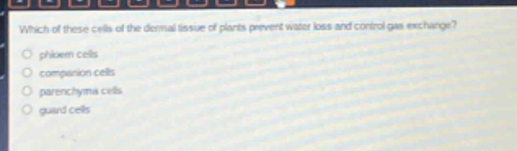 which of these cells of the dermal tissue of plants prevent water loss and control gas exchange?\nphloem cells\ncompanion cells\nparenchyma cells\nguard cells